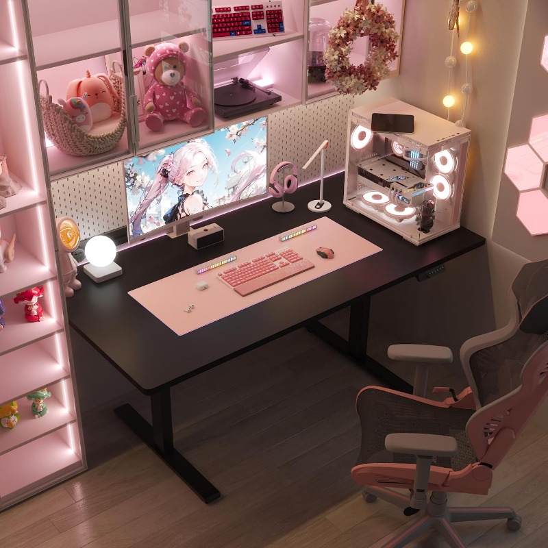 Электрический стол FLEXISPOT с – обзор и цена Desk Setup Dual Monitor